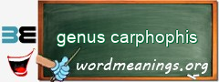 WordMeaning blackboard for genus carphophis